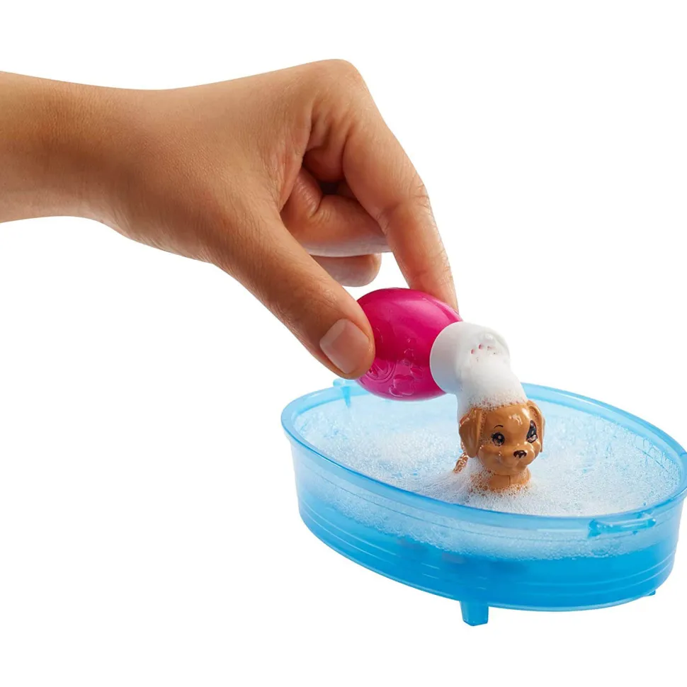 Barbie Doll With Pets and Accessories