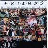 Cardinal Friends Television Series 300 Piece Jigsaw Puzzle