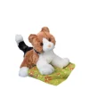 Douglas Maps Calico Cat Plush