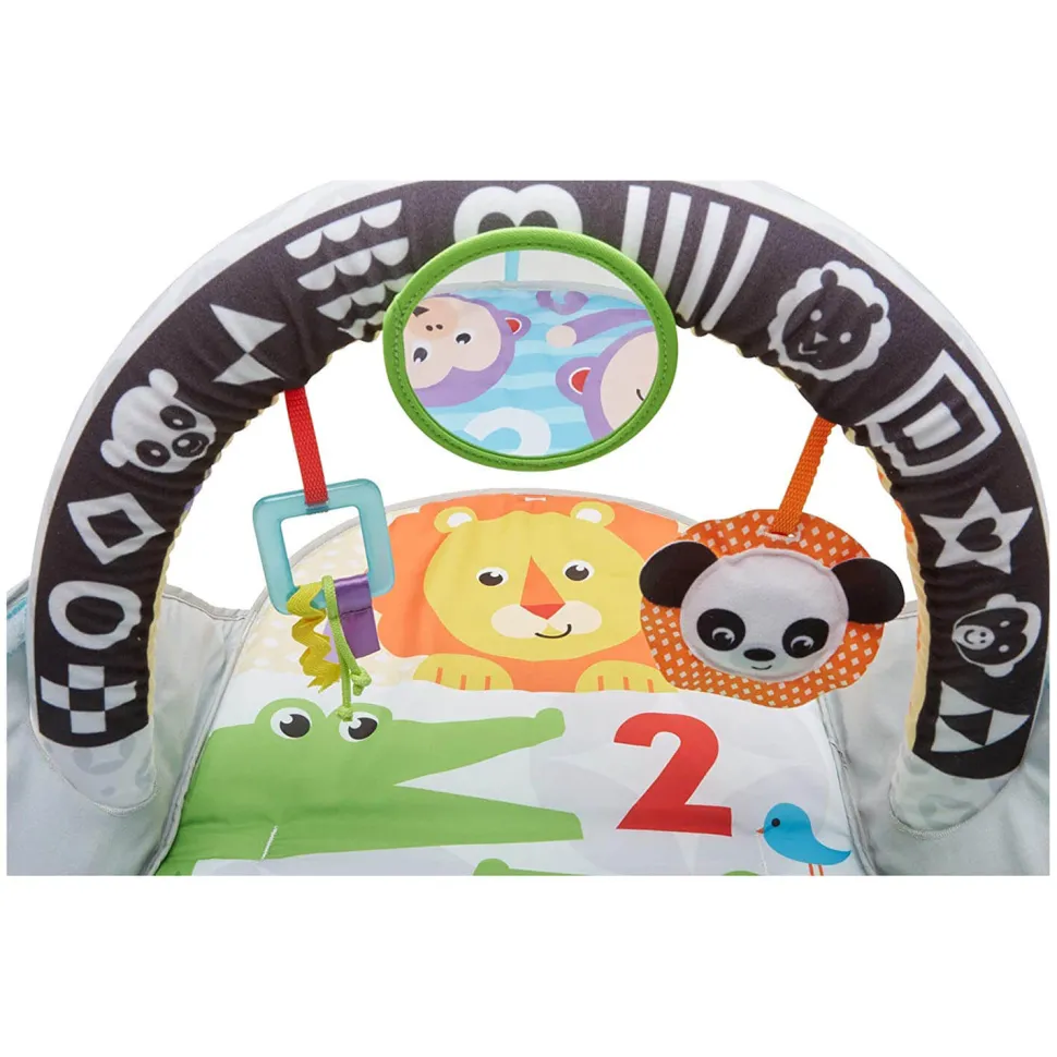 Fisher-Price 2 In1 Flip Fun Actvity Gym