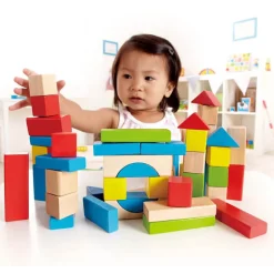 Hape 50 Piece Maple Blocks Set