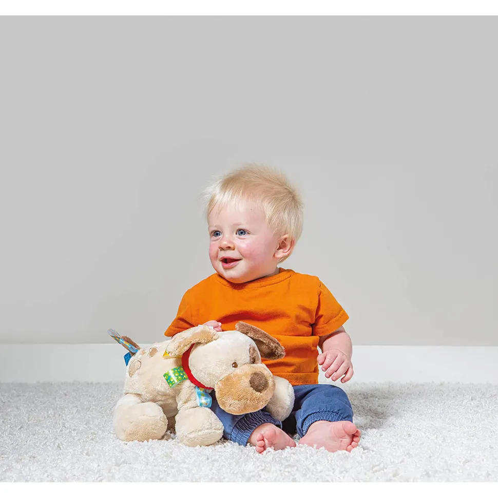 Mary Meyer Taggies Buddy Dog Soft Toy