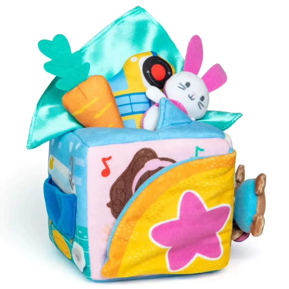 Ms Rachel Surprise Learning Box