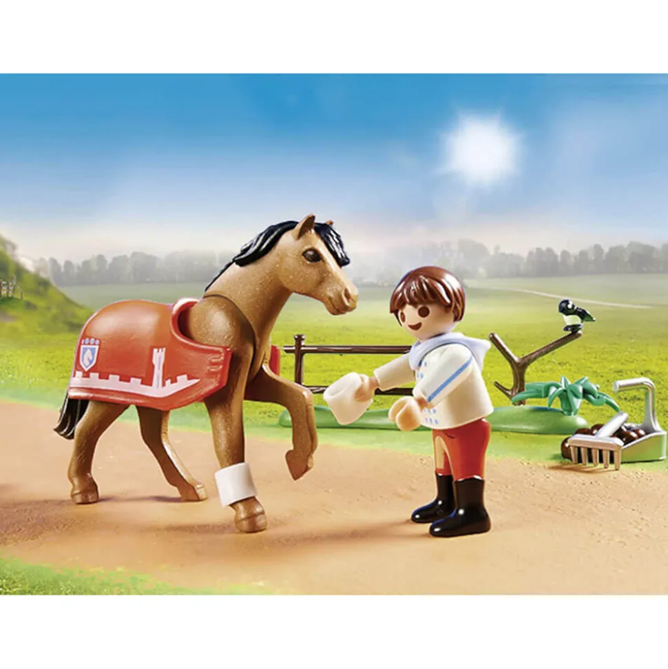 PLAYMOBIL Country Collectible Connemara Pony (70516)