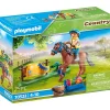Playmobil Pony Farm Collectible Welsh Playset (70523)