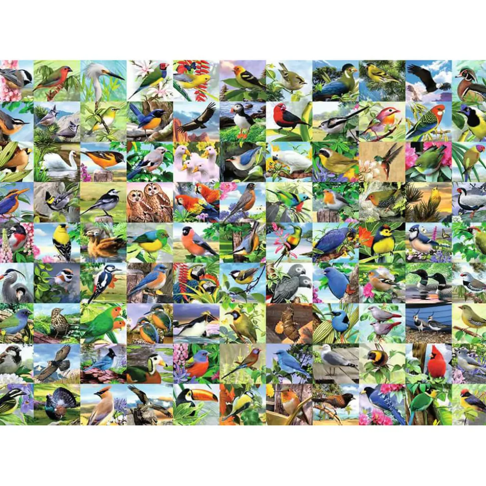 Ravensburger 99 Delightful Birds 300 Piece Large Format Puzzle