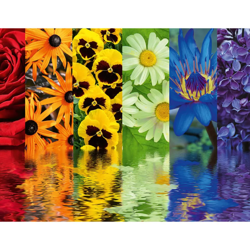 Ravensburger Floral Reflections 500 Pc