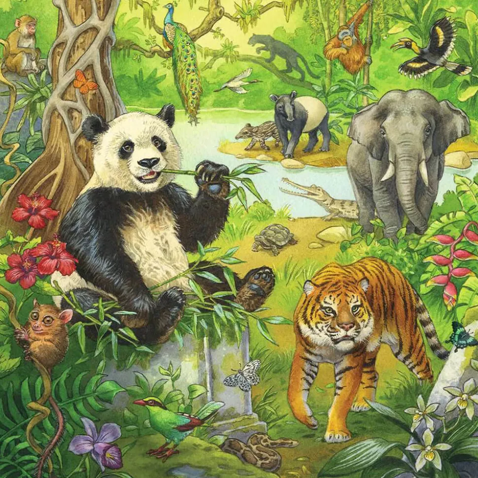 Ravensburger Jungle Fun 3 x 49 Piece Jigsaw Puzzle