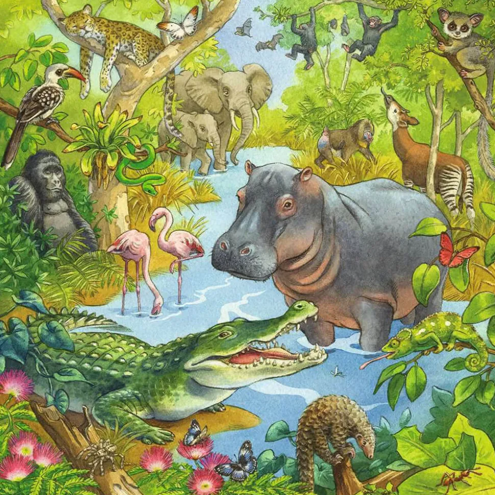 Ravensburger Jungle Fun 3 x 49 Piece Jigsaw Puzzle