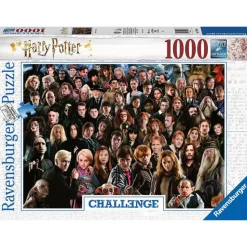 Ravensburger WB Harry Potter Challenge 1000 Piece Jigsaw Puzzle