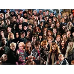 Ravensburger WB Harry Potter Challenge 1000 Piece Jigsaw Puzzle