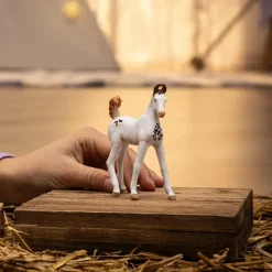 Schleich Horse Club Marwari Foal