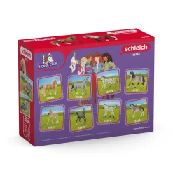 Schleich Horse Club Paso Peruano Starter Set (42738)
