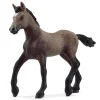 Schleich Horse Club Peruvian Paso Foal (13954)