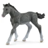 Schleich Horse Club Trakehner Foal (13944)