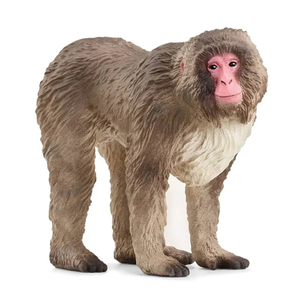 Schleich Wild Life Japanese Macaque Figure