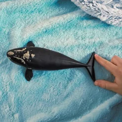 Schleich Wild Life North Atlantic Right Whale