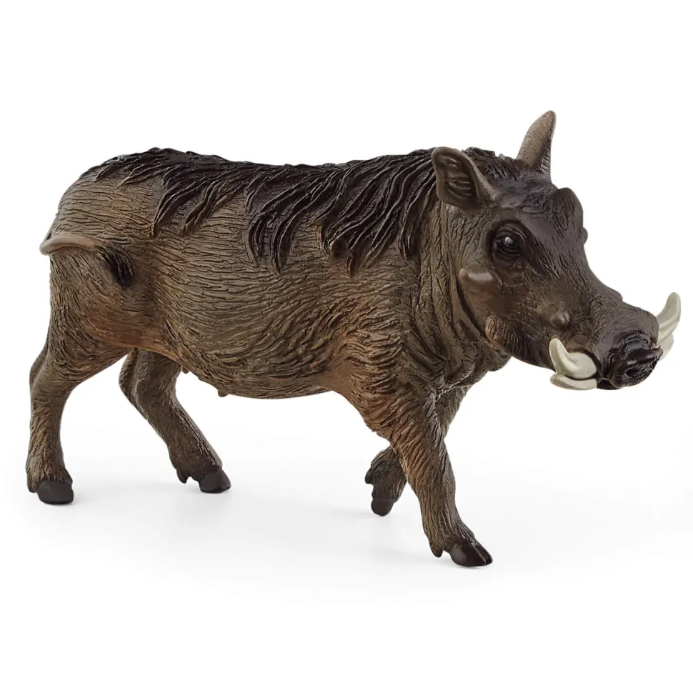 Schleich Wild Life Warthog Animal Figure (14843)