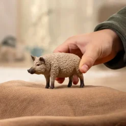 Schliech Farm World Mangalica Pig