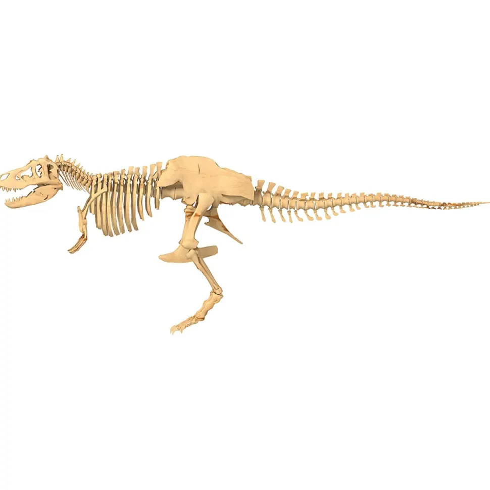 Thames and Kosmos Giant Dinosaur Skeleton Kit