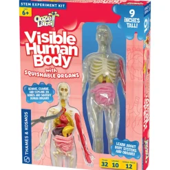 Thames&Kosmos Ooze Labs Visible Human Body