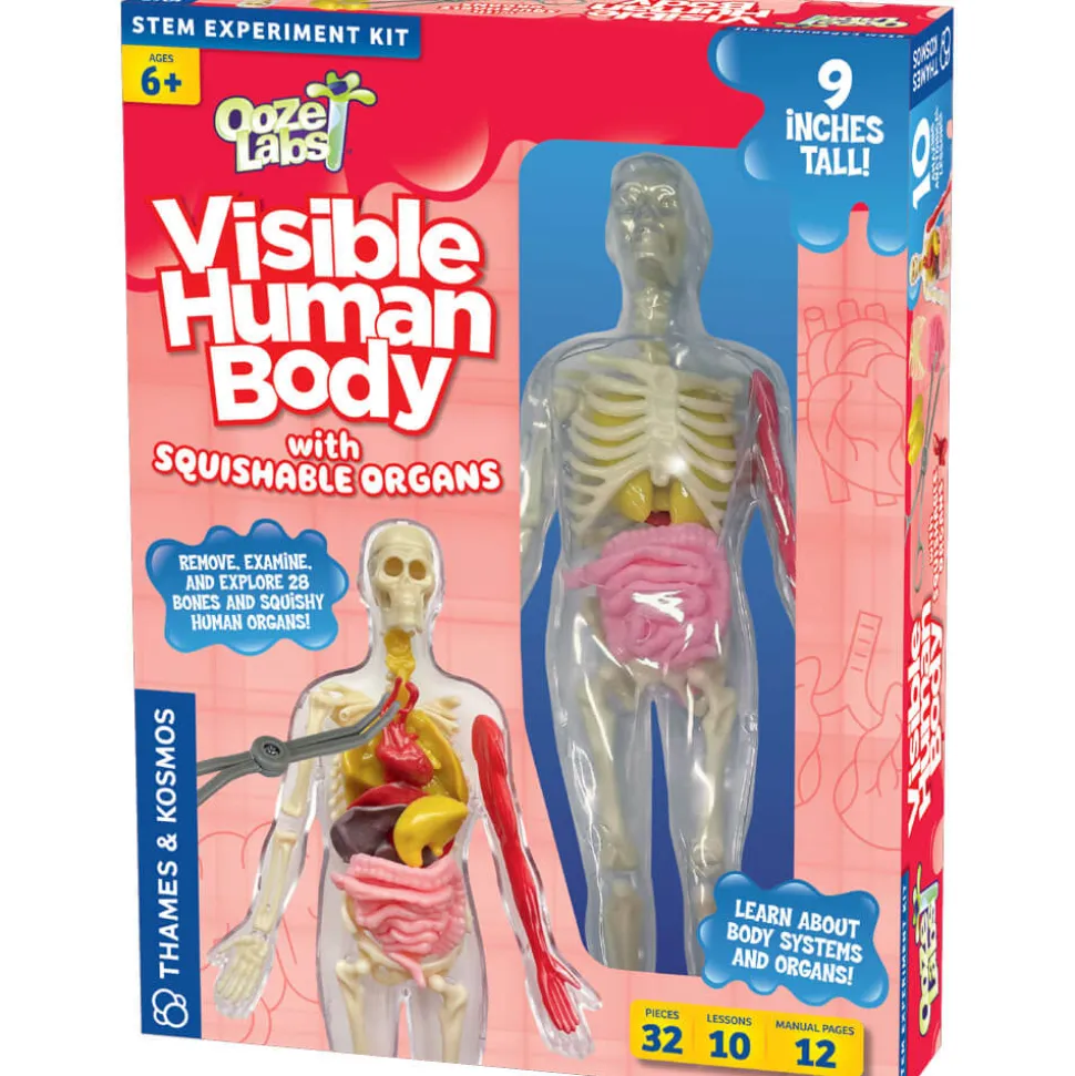 Thames&Kosmos Ooze Labs Visible Human Body