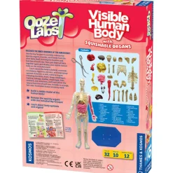 Thames&Kosmos Ooze Labs Visible Human Body