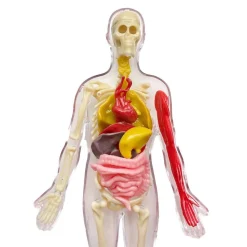 Thames&Kosmos Ooze Labs Visible Human Body