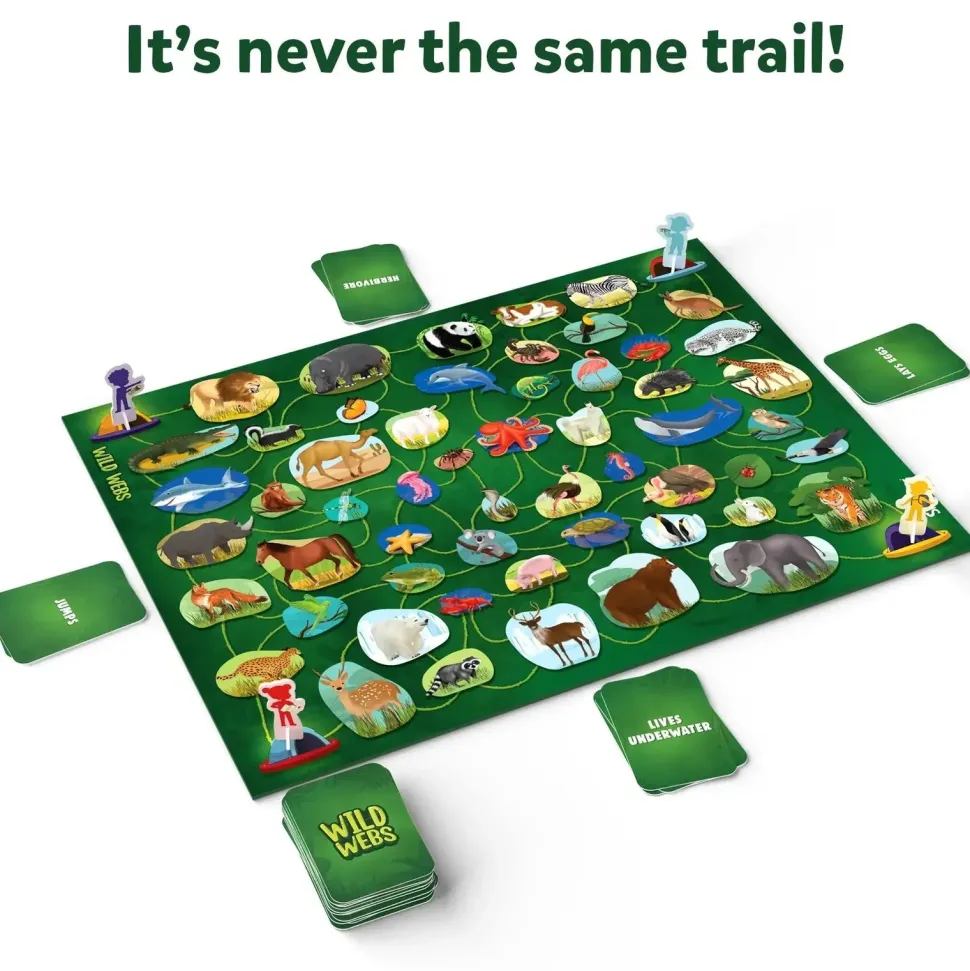 Wild Webs Card Game