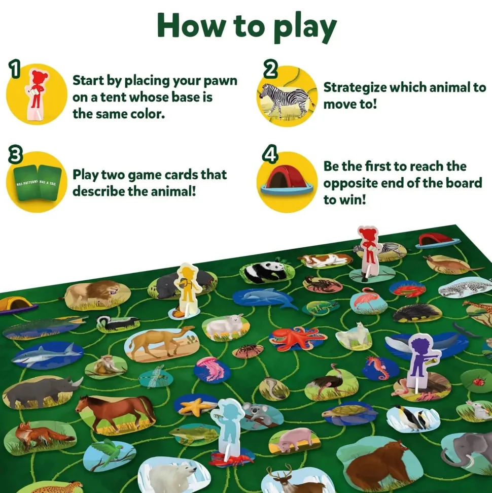 Wild Webs Card Game